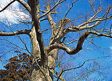 《冲就完事模拟器》公布《战锤40K》DLC