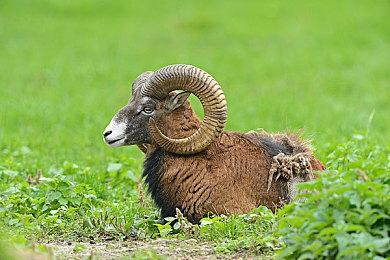 《潜行者2》Steam口碑逆转 现已是特别好评、优化问题仍在